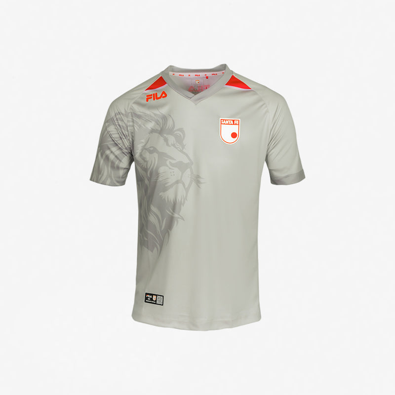 CAMISETA-GREY-1.webp