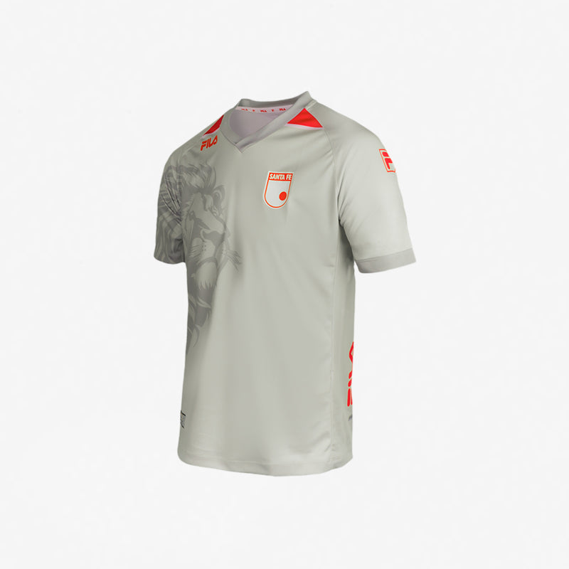 CAMISETA-GREY-2.webp